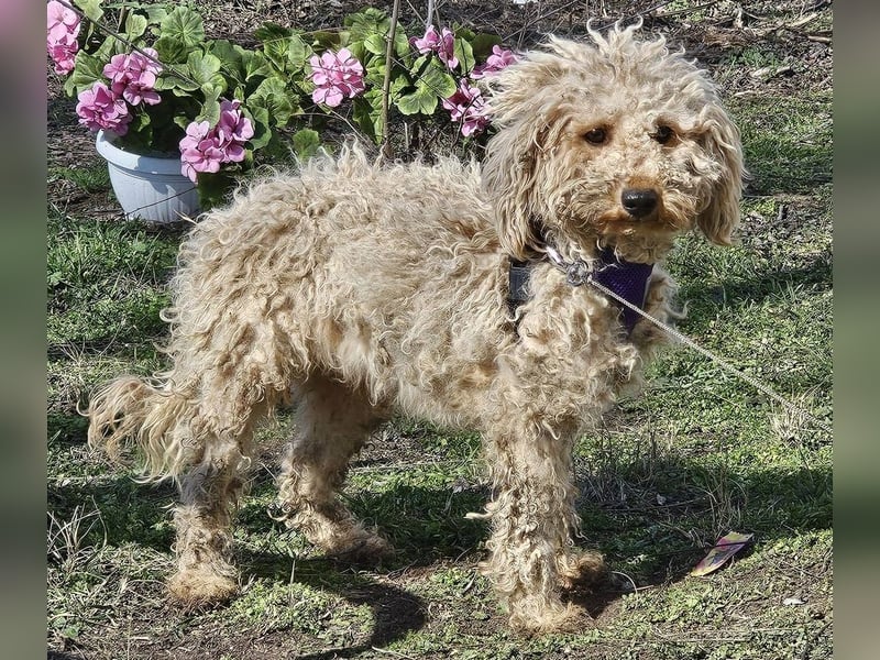 Alba kennt keine liebevolle Zuwendung