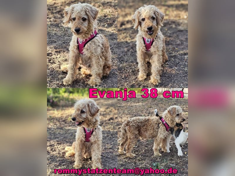 Evanja kennt noch wenig von der großen, weiten Welt