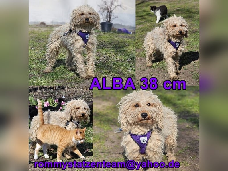 Alba kennt keine liebevolle Zuwendung