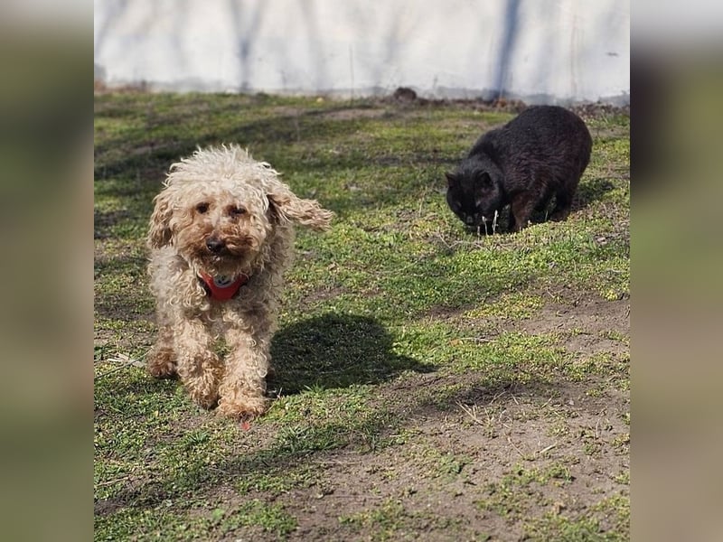 Filiz bekam nur die notwendige Zuwendung