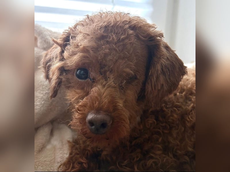 Coco