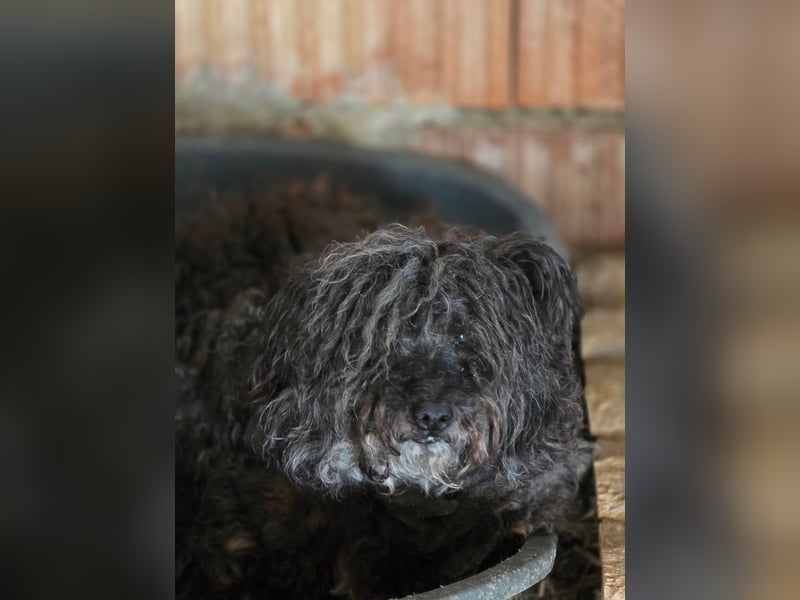 Linda - sooo bezaubernd