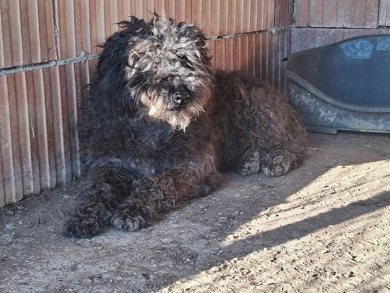 Linda - sooo bezaubernd