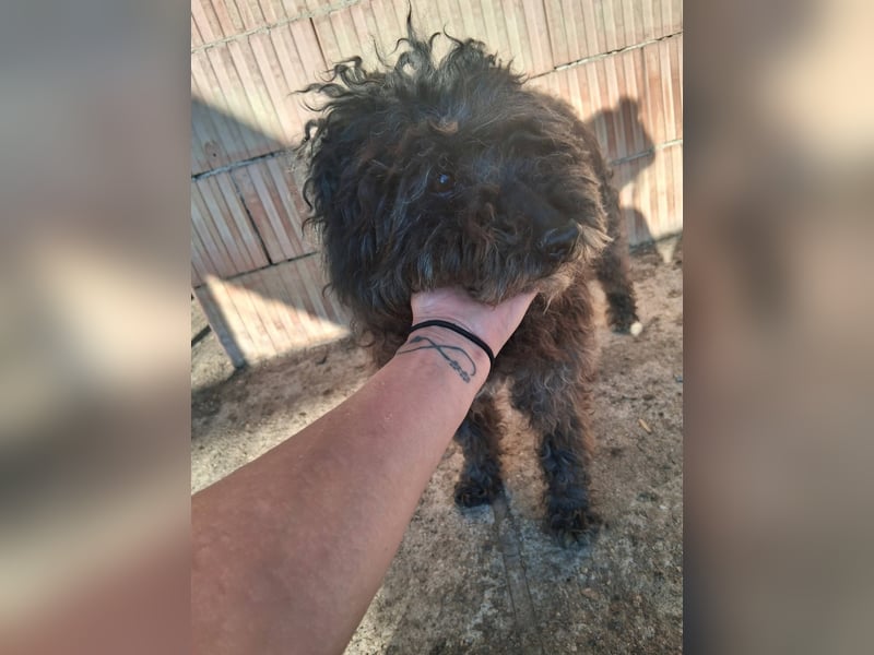 Linda - sooo bezaubernd