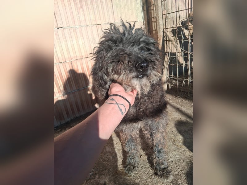 Linda - sooo bezaubernd