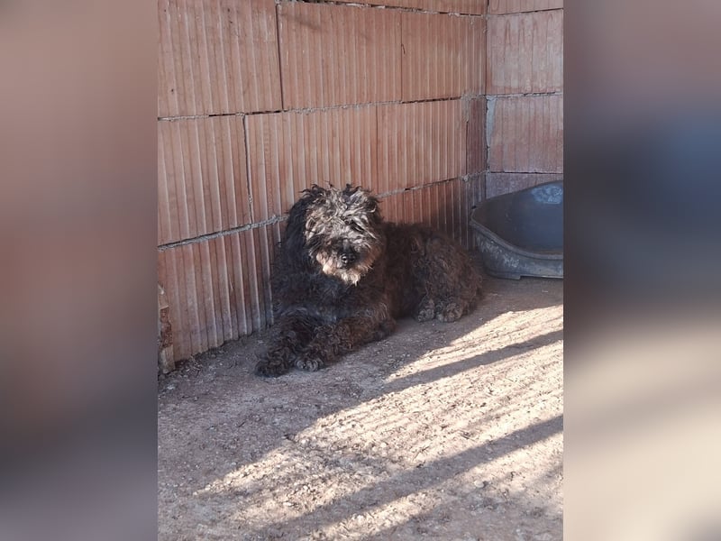 Linda - sooo bezaubernd