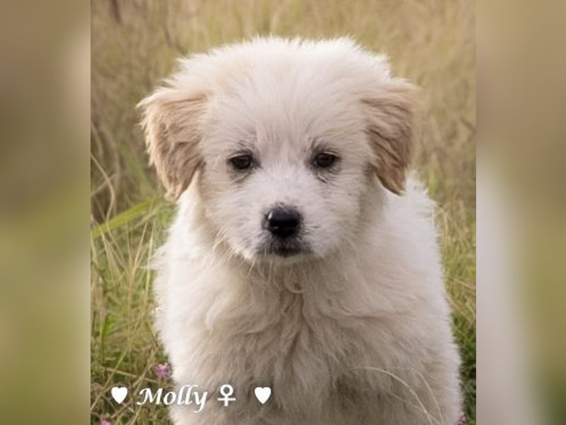 Minnie und Mollie suchen ein Zuhause