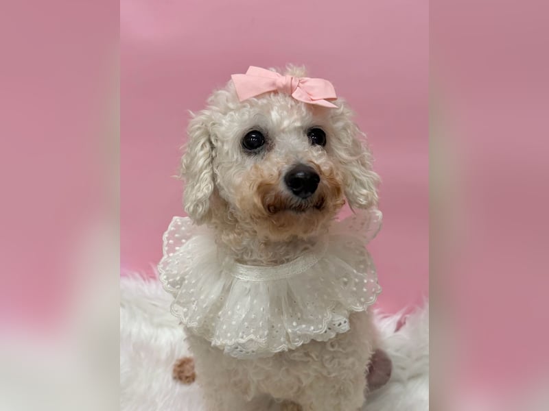 Miseol, neugieriege kleine Entdeckerin