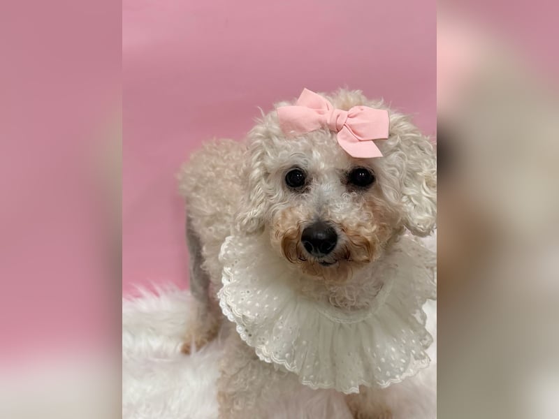 Miseol, neugieriege kleine Entdeckerin