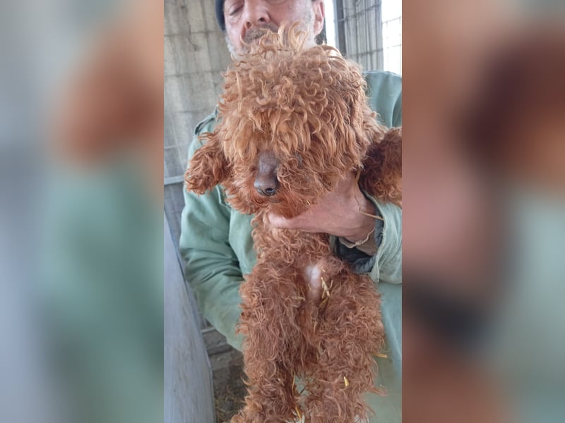 Cezar PP Raus aus dem Heim rein ins Herz