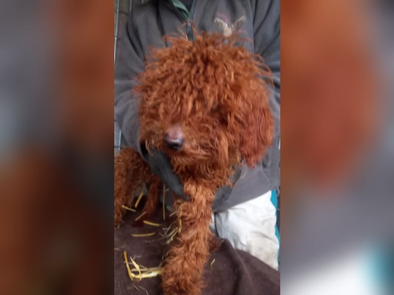 Kancso-PP, auf der Suche nach dem Heimathafen