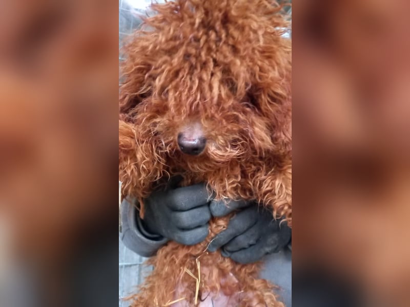 Kancso-PP, auf der Suche nach dem Heimathafen