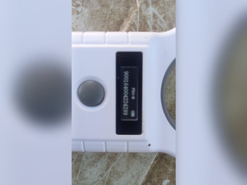 Holmes PP – Junghund mit großem Potenzial sucht liebevolles Zuhause