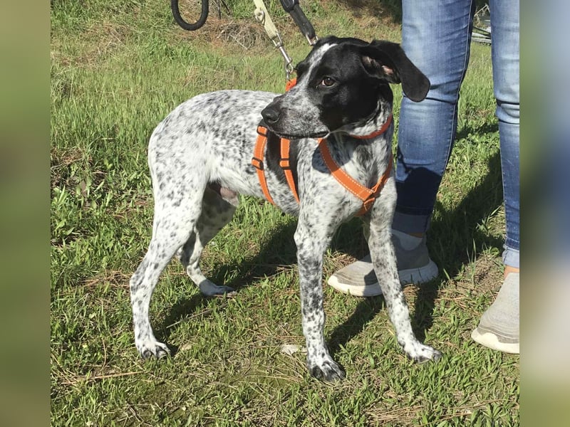 Toby sucht die Menschen, die ihn nicht verlassen