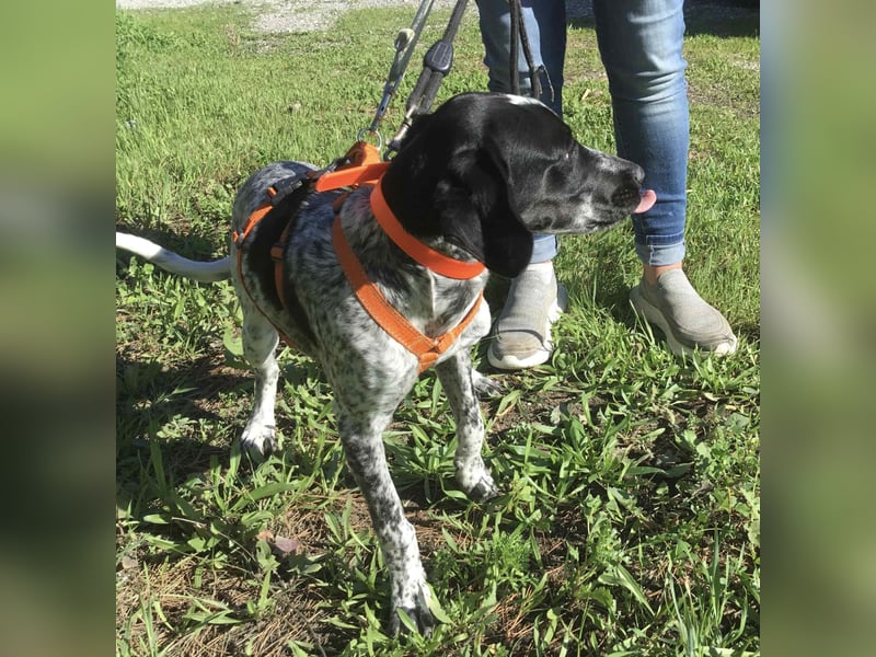 Toby sucht die Menschen, die ihn nicht verlassen