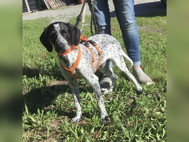 Toby sucht die Menschen, die ihn nicht verlassen