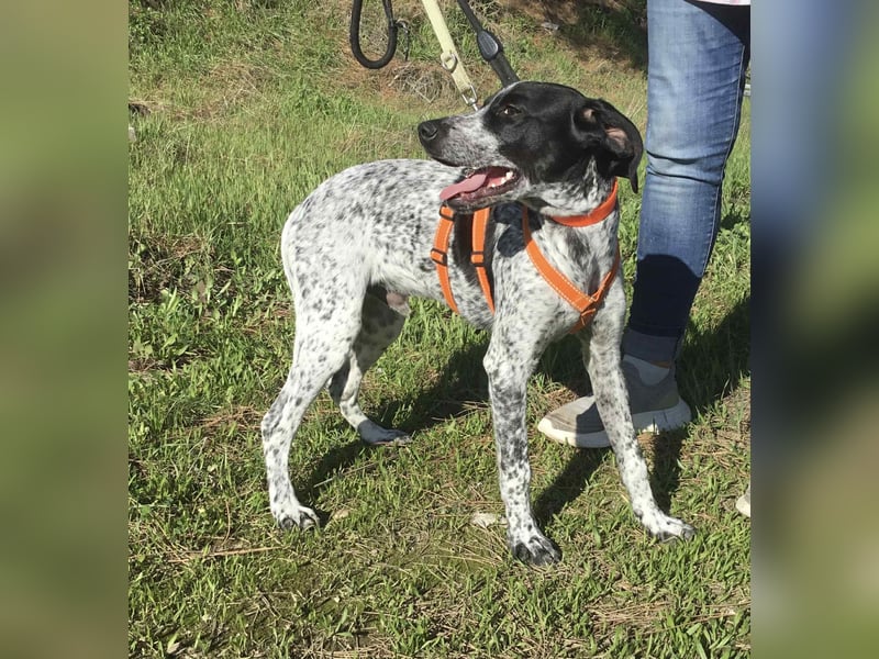Toby sucht die Menschen, die ihn nicht verlassen