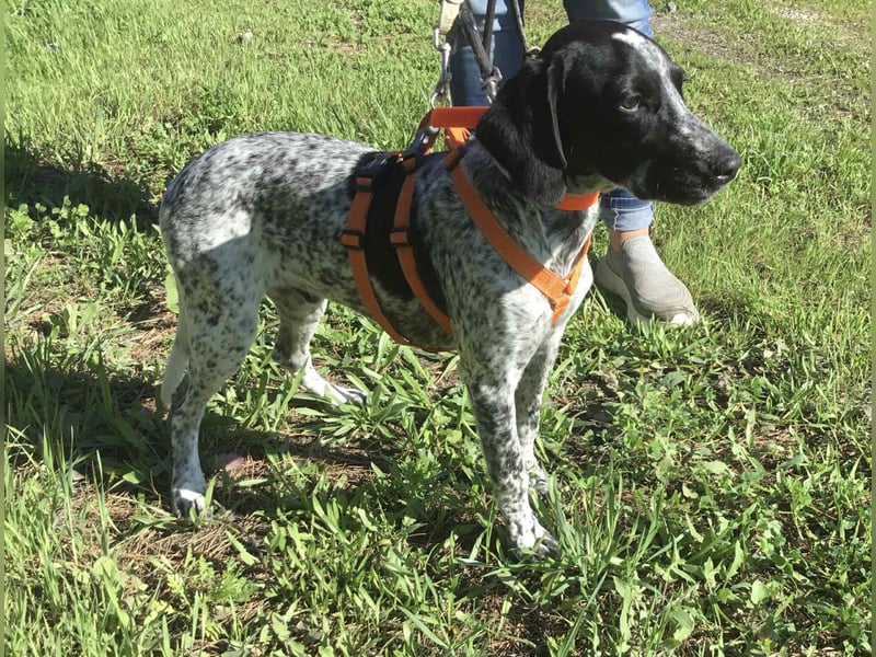 Toby sucht die Menschen, die ihn nicht verlassen