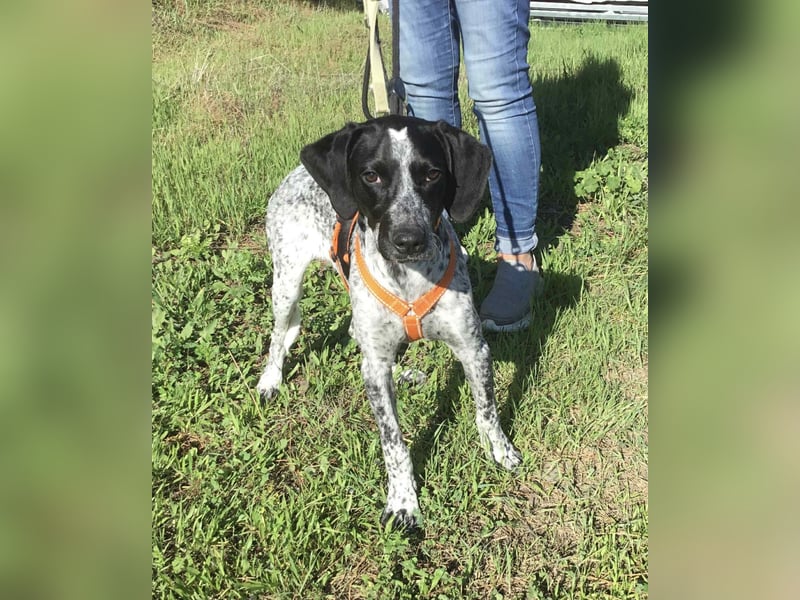 Toby sucht die Menschen, die ihn nicht verlassen