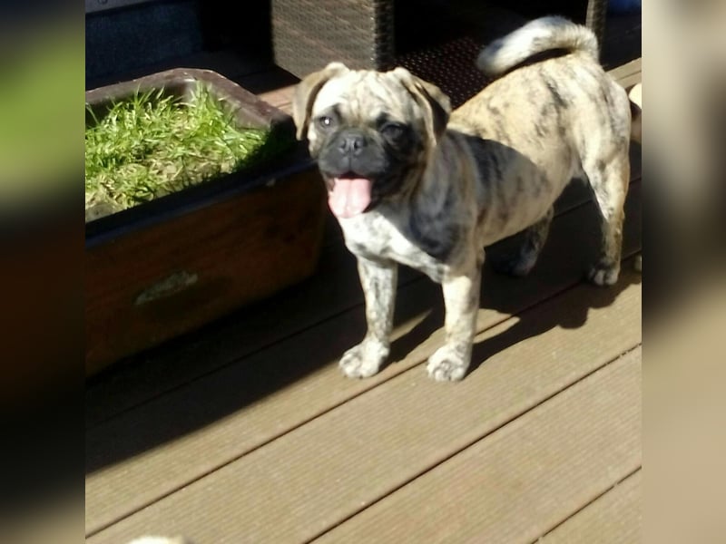 Claire 8 Jahre sucht neues Zuhause