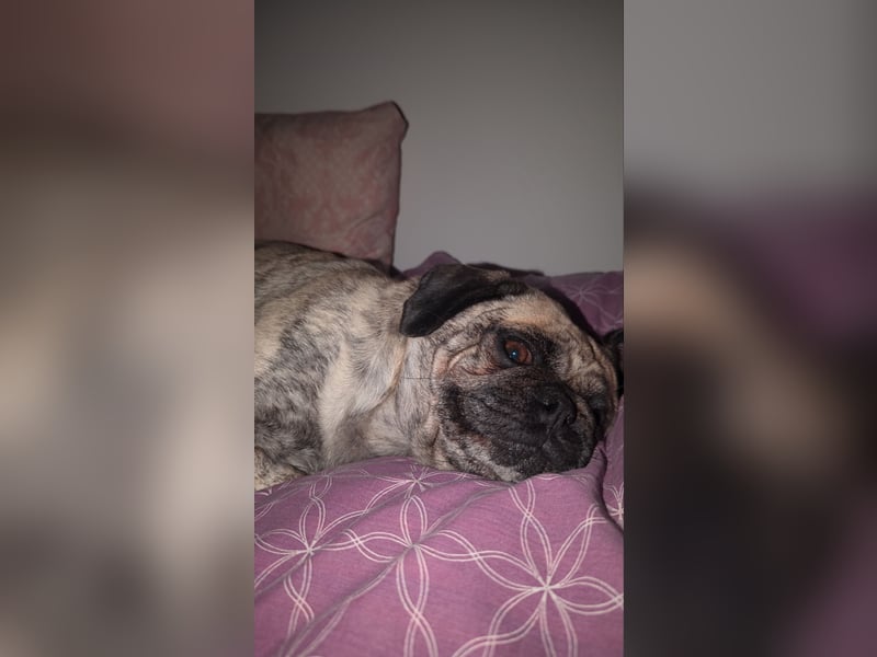 Claire 8 Jahre sucht neues Zuhause