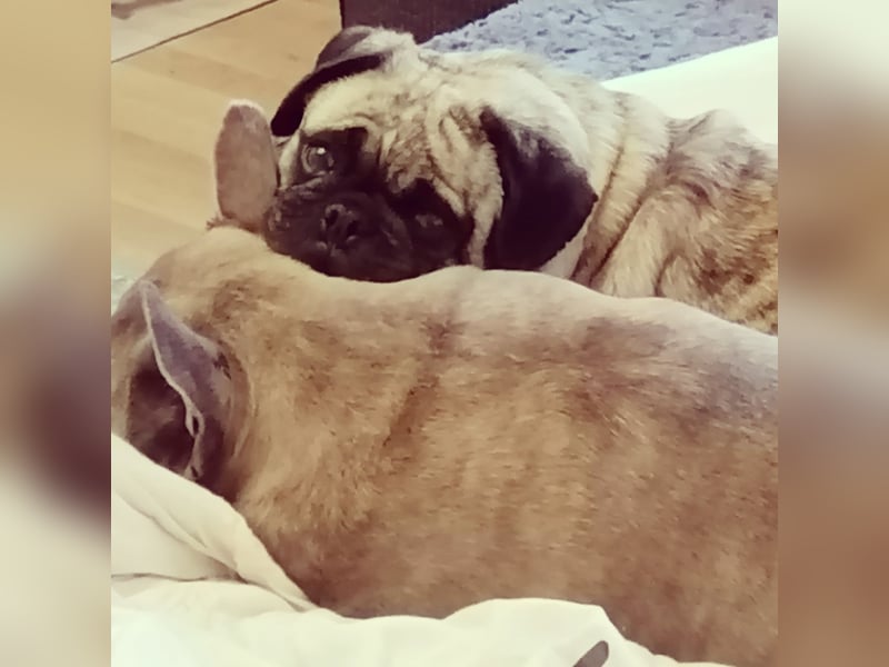 Claire 8 Jahre sucht neues Zuhause