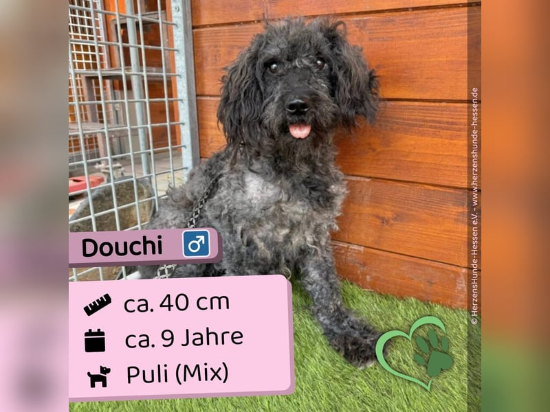 Douchi - schüchtern aber neugierig