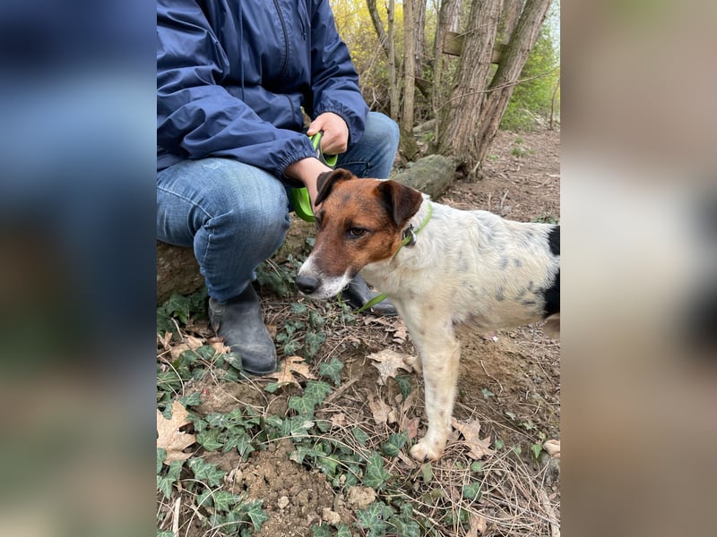 Mimi und Matyi suchen gemeinsam ein neues Zuhause