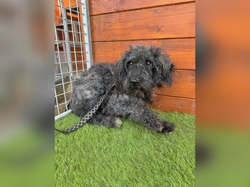 Douchi - schüchtern aber neugierig Douchi - schüchtern aber neugierig