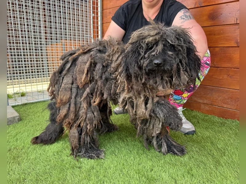 Douchi - schüchtern aber neugierig Douchi - schüchtern aber neugierig