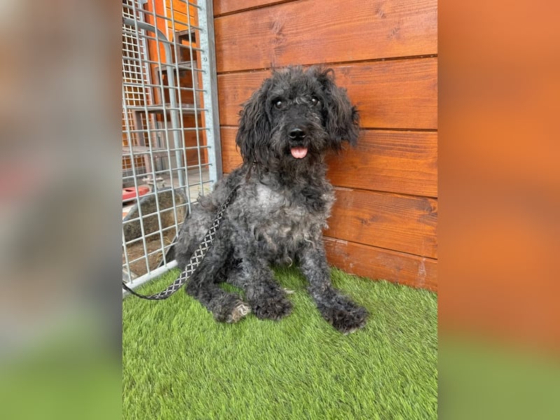 Douchi - schüchtern aber neugierig Douchi - schüchtern aber neugierig