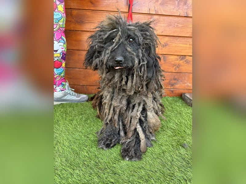 Douchi - schüchtern aber neugierig Douchi - schüchtern aber neugierig