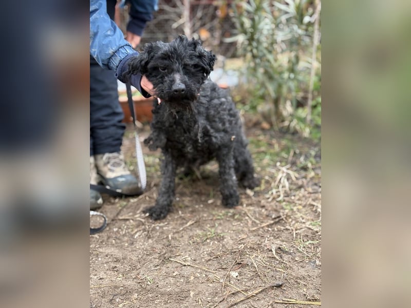 Csendike möchte endlich ankommen
