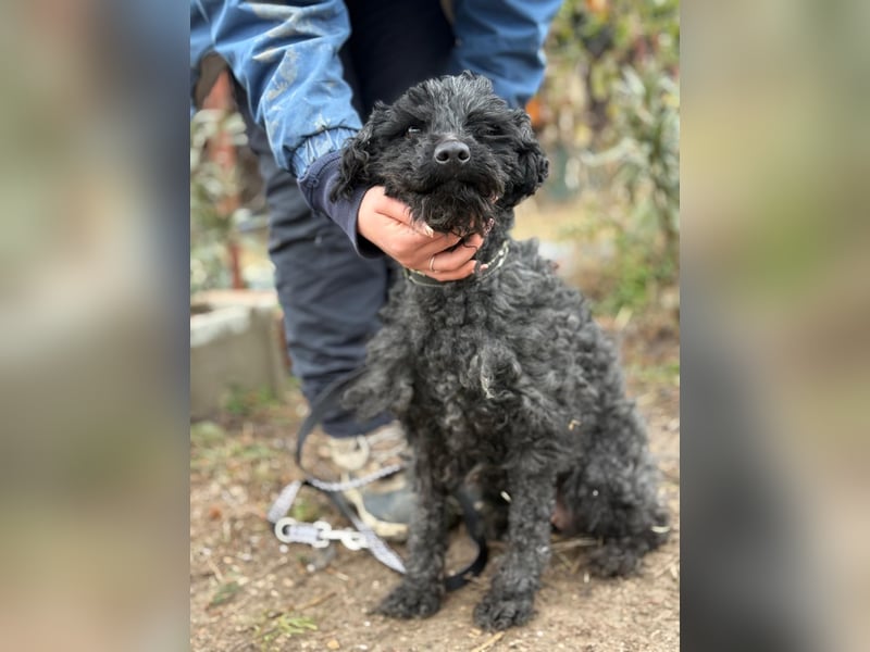 Csendike möchte endlich ankommen