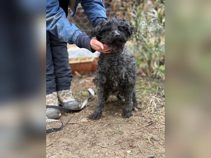 Csendike möchte endlich ankommen