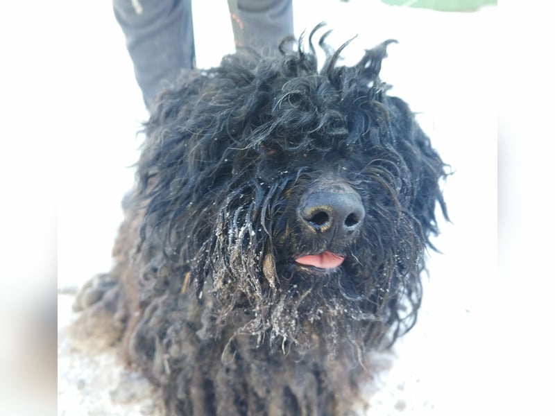 Csendike möchte endlich ankommen