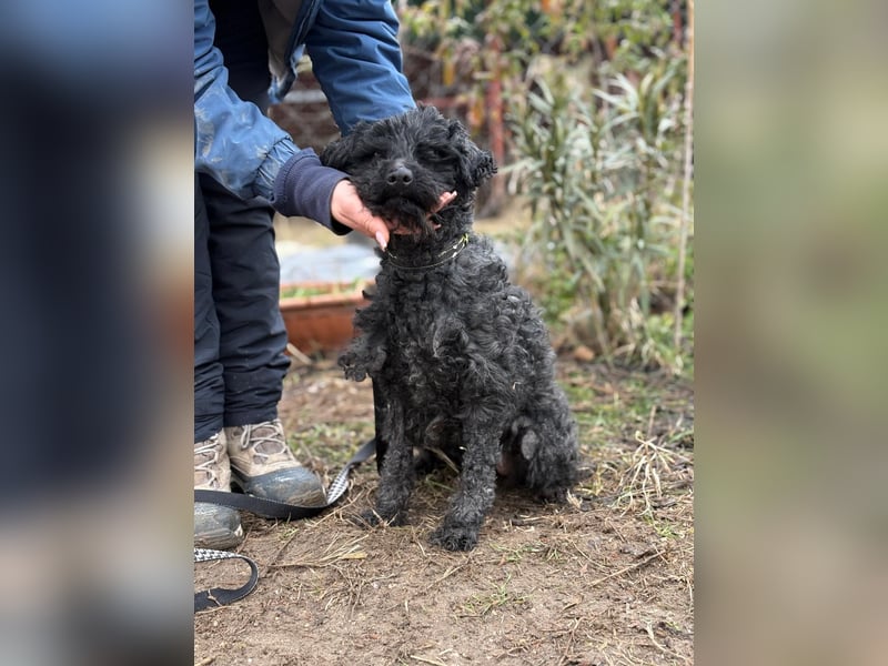 Csendike möchte endlich ankommen
