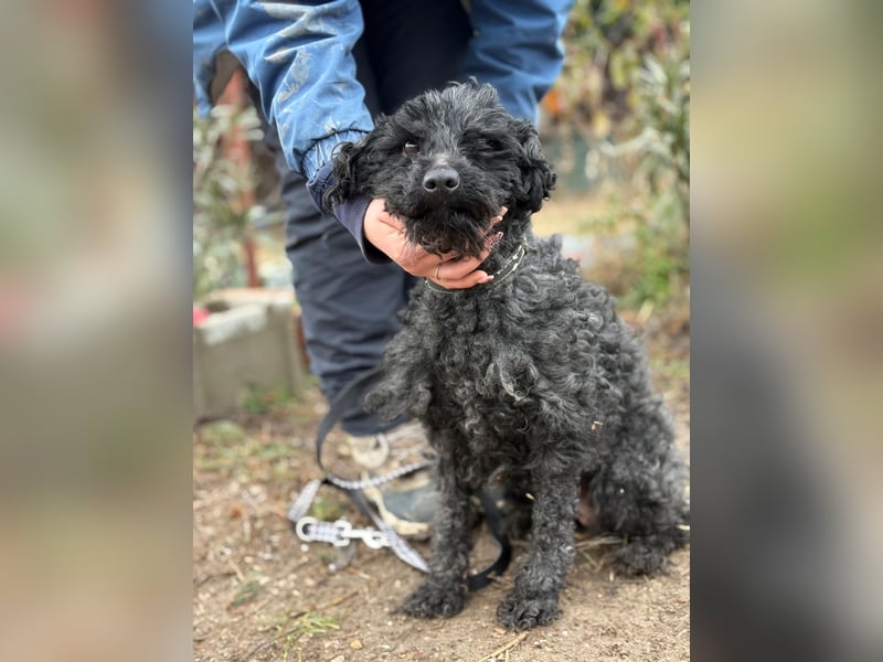 Csendike möchte endlich ankommen