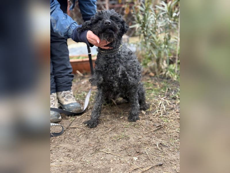 Csendike möchte endlich ankommen