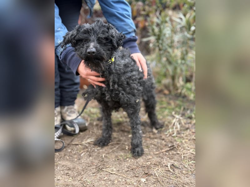 Csendike möchte endlich ankommen