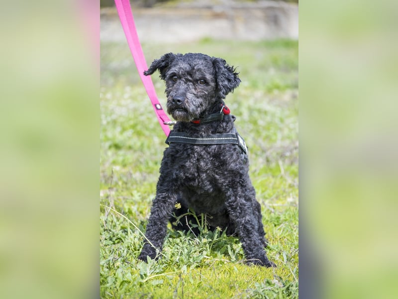 Rita SI - freundlich, verträglich