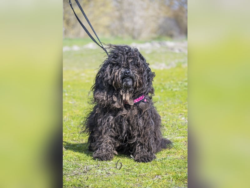 Rita SI - freundlich, verträglich