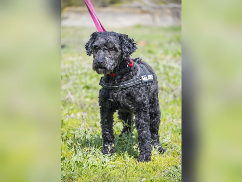 Rita SI - freundlich, verträglich