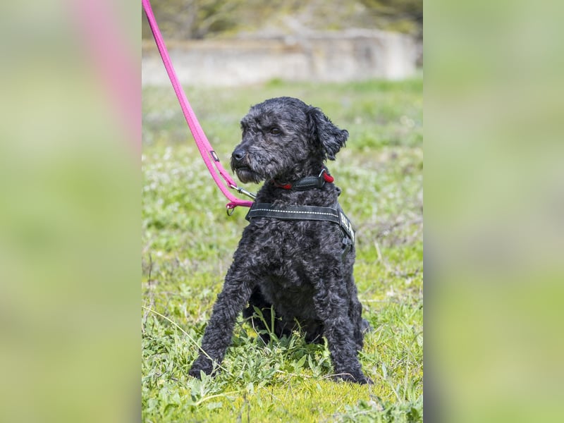 Rita SI - freundlich, verträglich