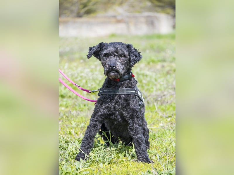 Rita SI - freundlich, verträglich