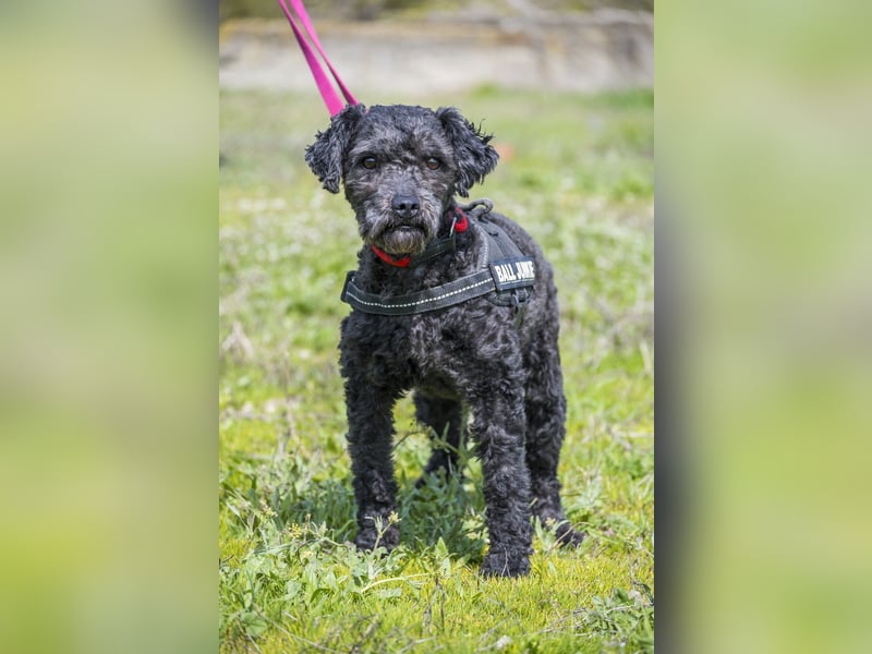 Rita SI - freundlich, verträglich