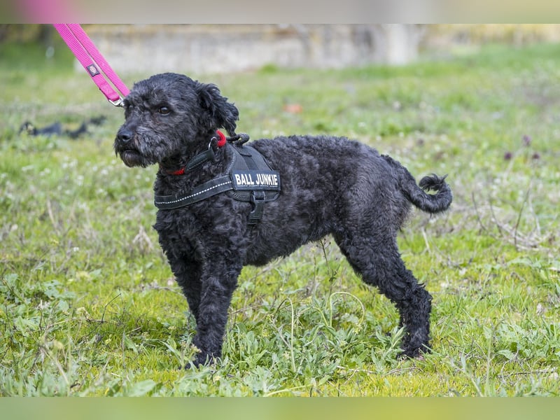 Rita SI - freundlich, verträglich