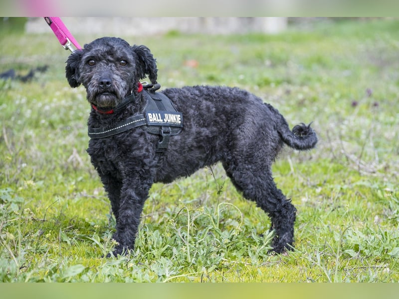 Rita SI - freundlich, verträglich