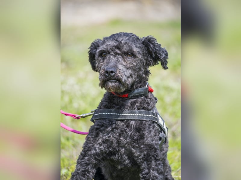 Rita SI - freundlich, verträglich