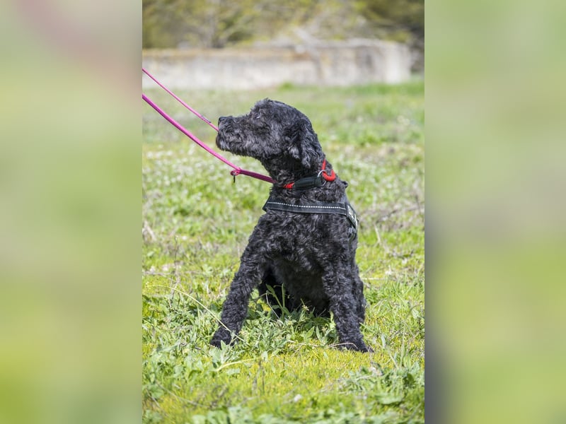 Rita SI - freundlich, verträglich